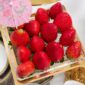 Japanese Fruits Seasonal Calendar_ When to Order What in Singapore
